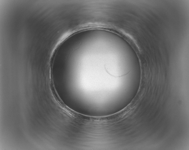 X0000064741365200603031656