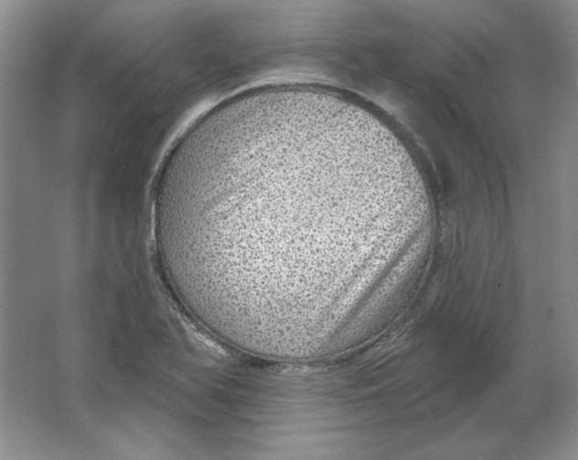 X0000064741366200603031656