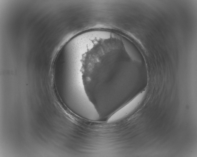 X0000064741367200603031656