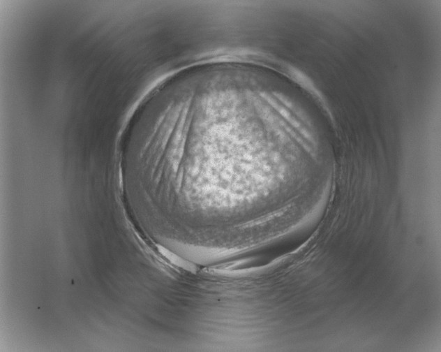 X0000064741368200603031656