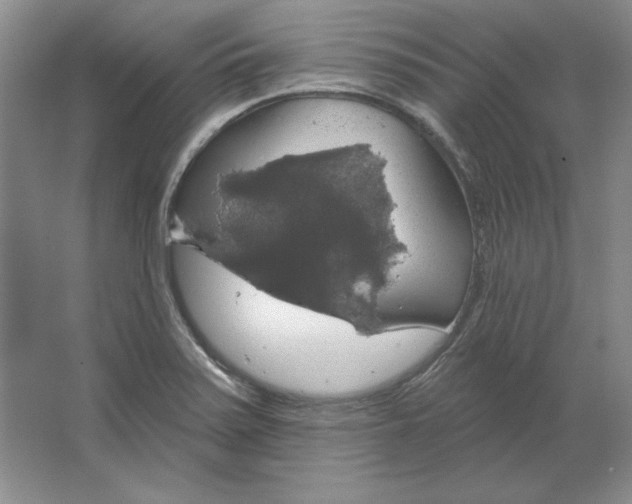 X0000064741371200603031656