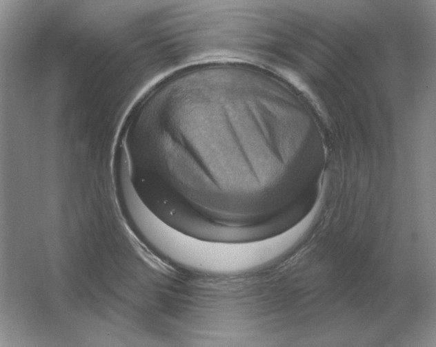 X0000064741372200603031656