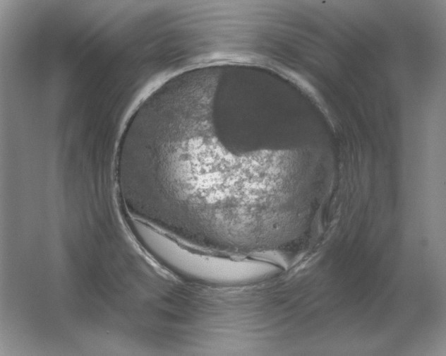 X0000064741373200603031656