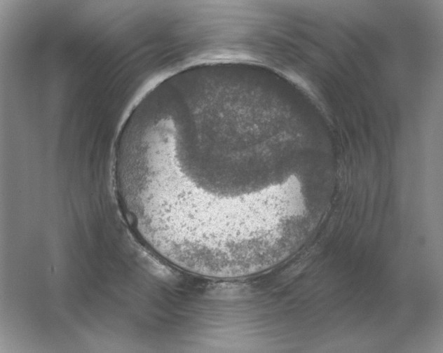 X0000064741374200603031656