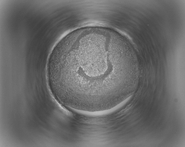 X0000064741375200603031656