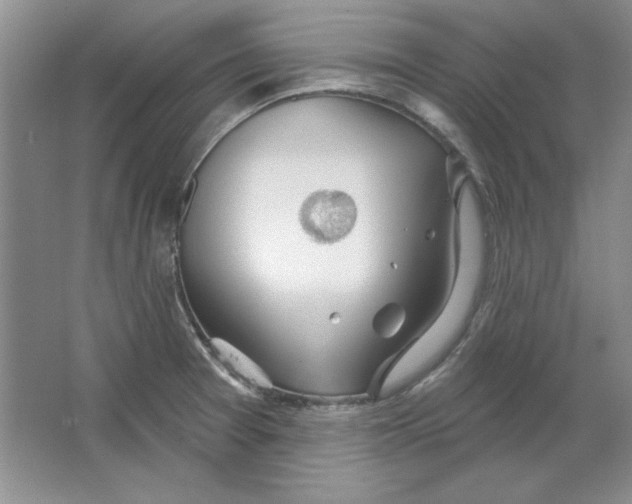 X0000064741377200603031656