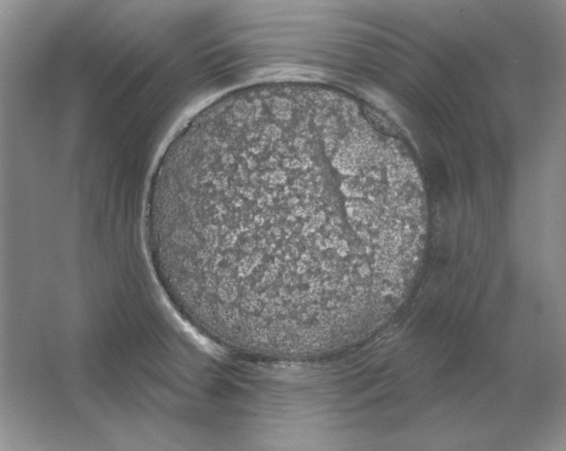 X0000064741379200603031656