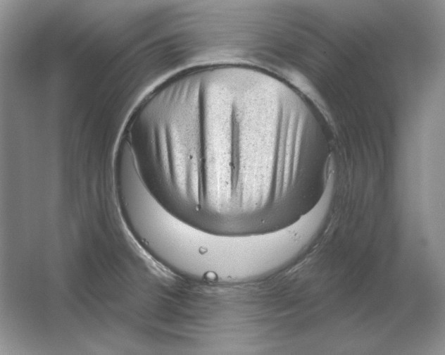 X0000064741380200603031656