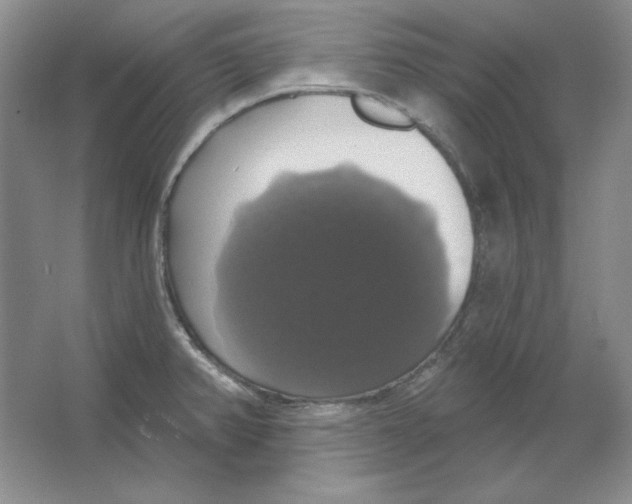 X0000064741382200603031656