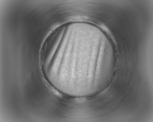 X0000064741384200603031656