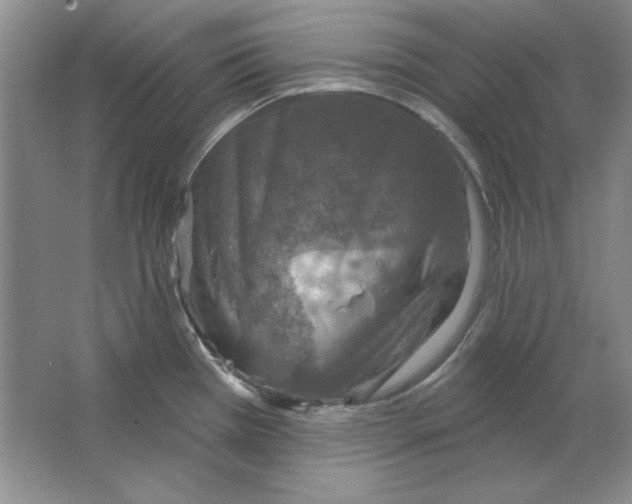 X0000064741385200603031656