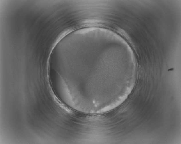 X0000064741386200603031656