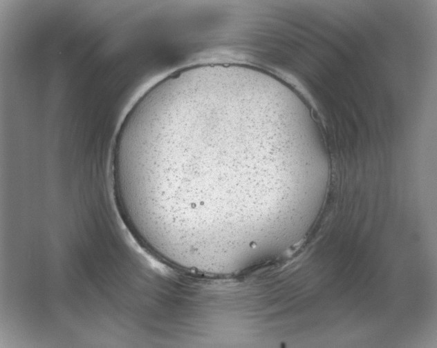 X0000064741387200603031656