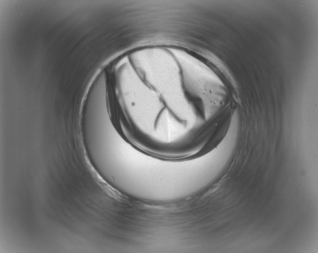 X0000064741388200603031656