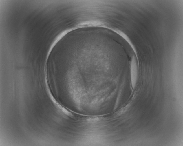 X0000064741389200603031656