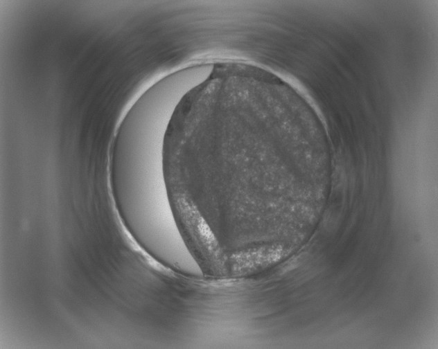 X0000064741390200603031656