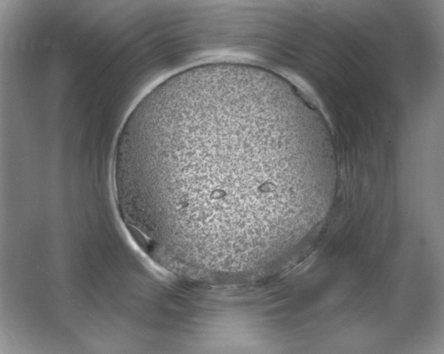 X0000064741391200603031656