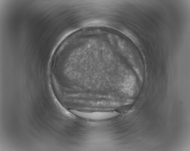 X0000064741392200603031656