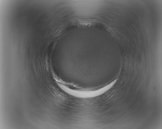 X0000064741394200603031655