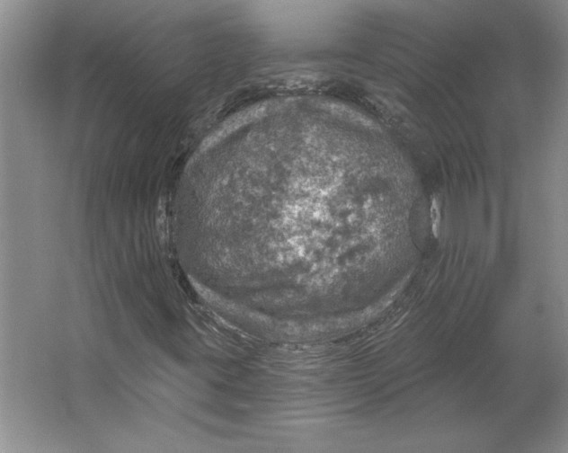 X0000064741395200603031655