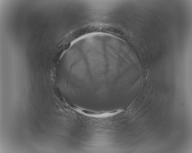 X0000064741397200603031655