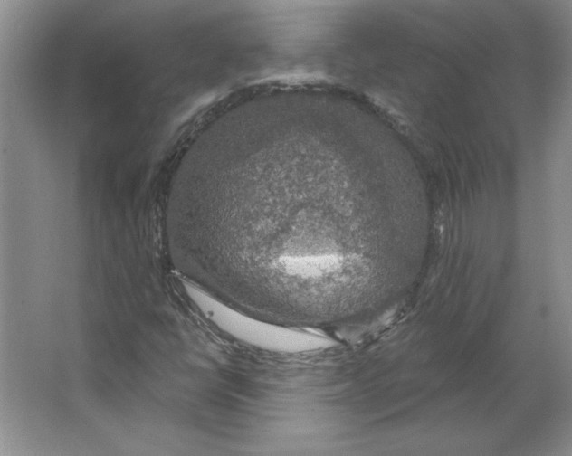 X0000064741398200603031655