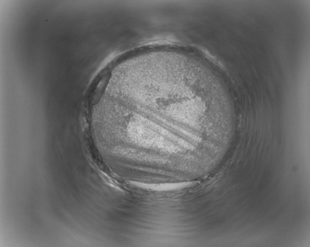 X0000064741400200603031655