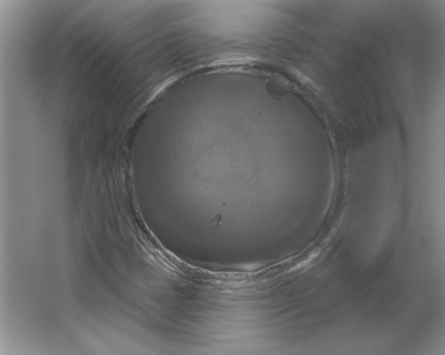 X0000064741401200603031655