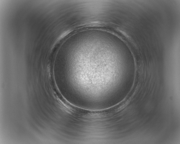 X0000064741402200603031655