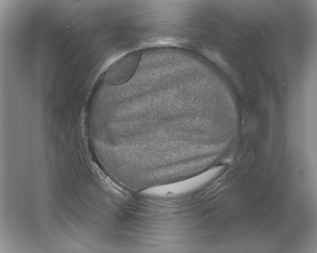 X0000064741404200603031655