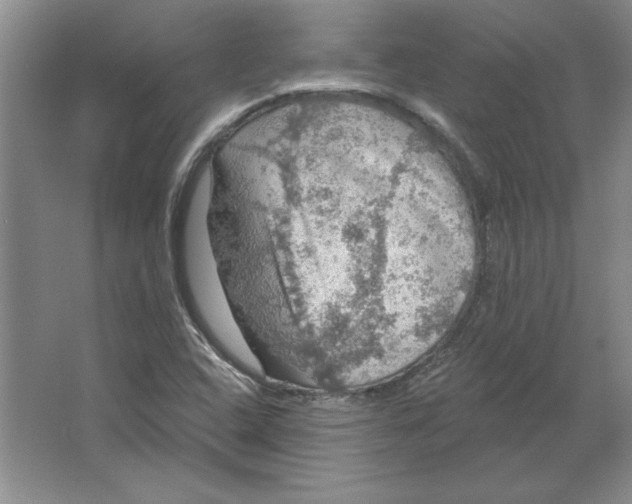 X0000064741408200603031655