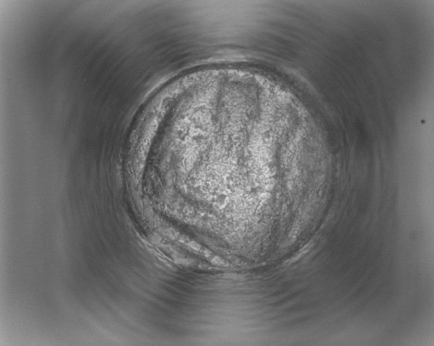 X0000064741409200603031655