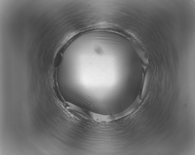 X0000064741410200603031655