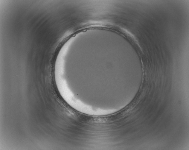 X0000064741411200603031655