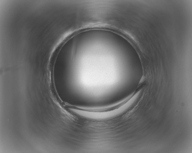 X0000064741414200603031655