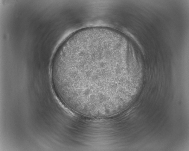 X0000064741416200603031656