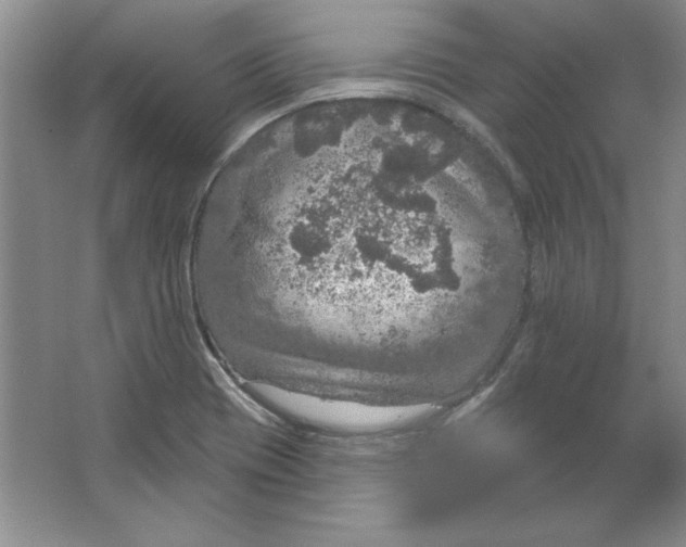 X0000064741417200603031656