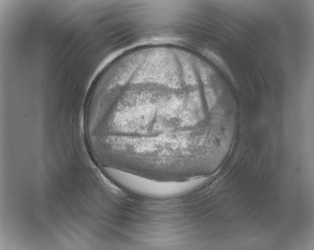 X0000064741420200603031656