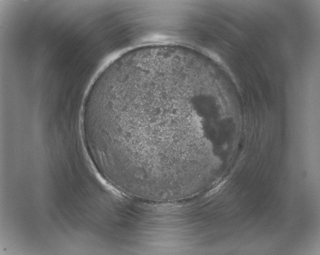 X0000064741421200603031656