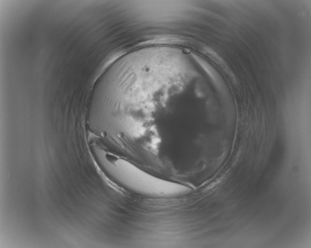 X0000064741425200603031656