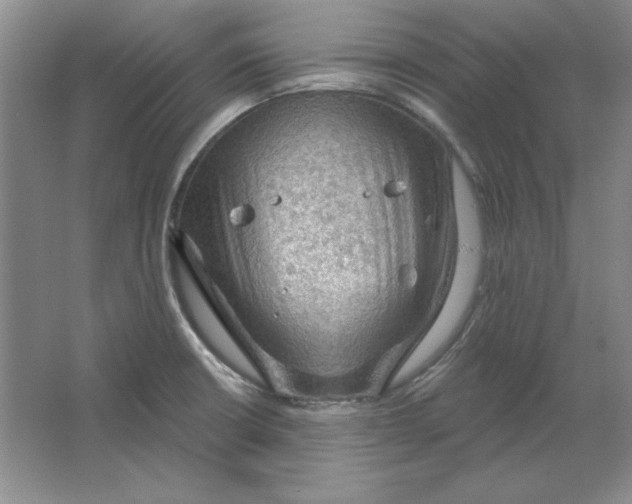 X0000064741426200603031656