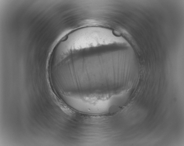 X0000064741427200603031656