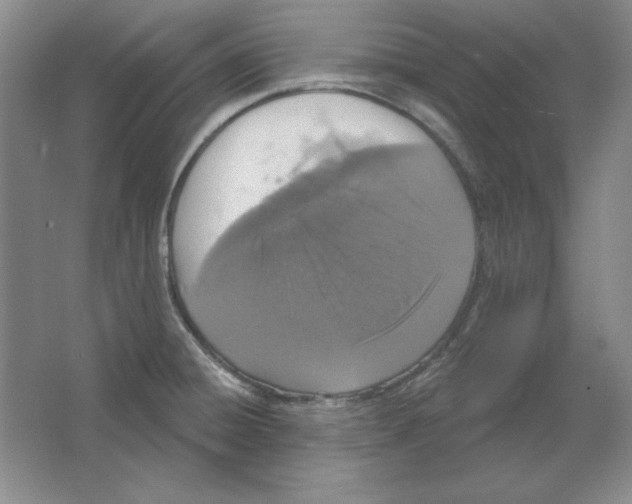 X0000064741428200603031656