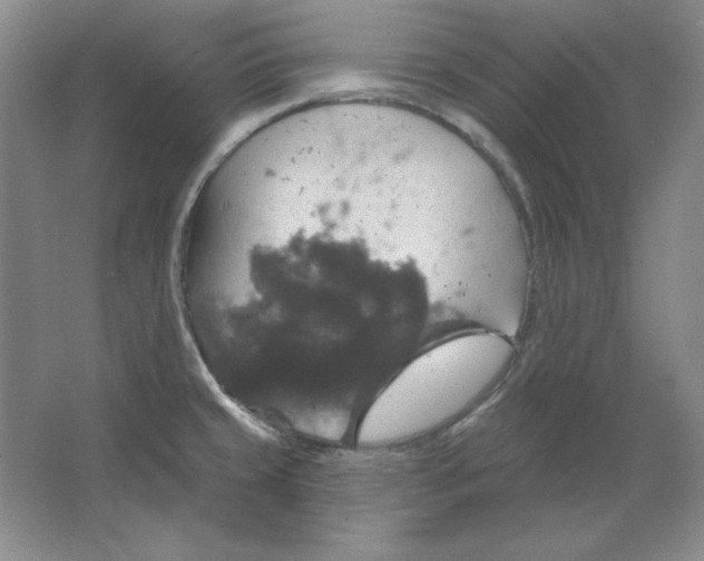 X0000064741429200603031656