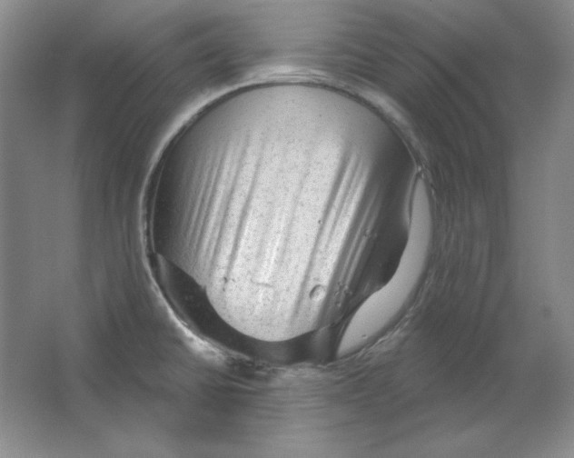 X0000064741430200603031656