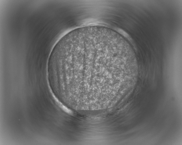 X0000064741431200603031656