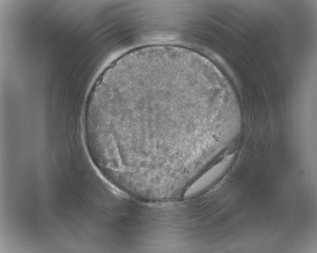 X0000064741432200603031656