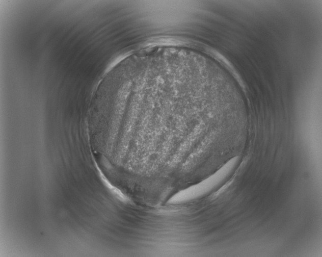 X0000064741433200603031656