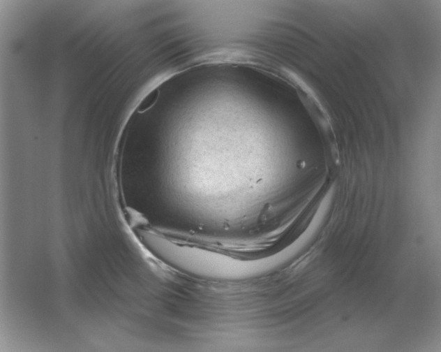 X0000064741434200603031656