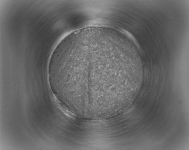 X0000064741435200603031656